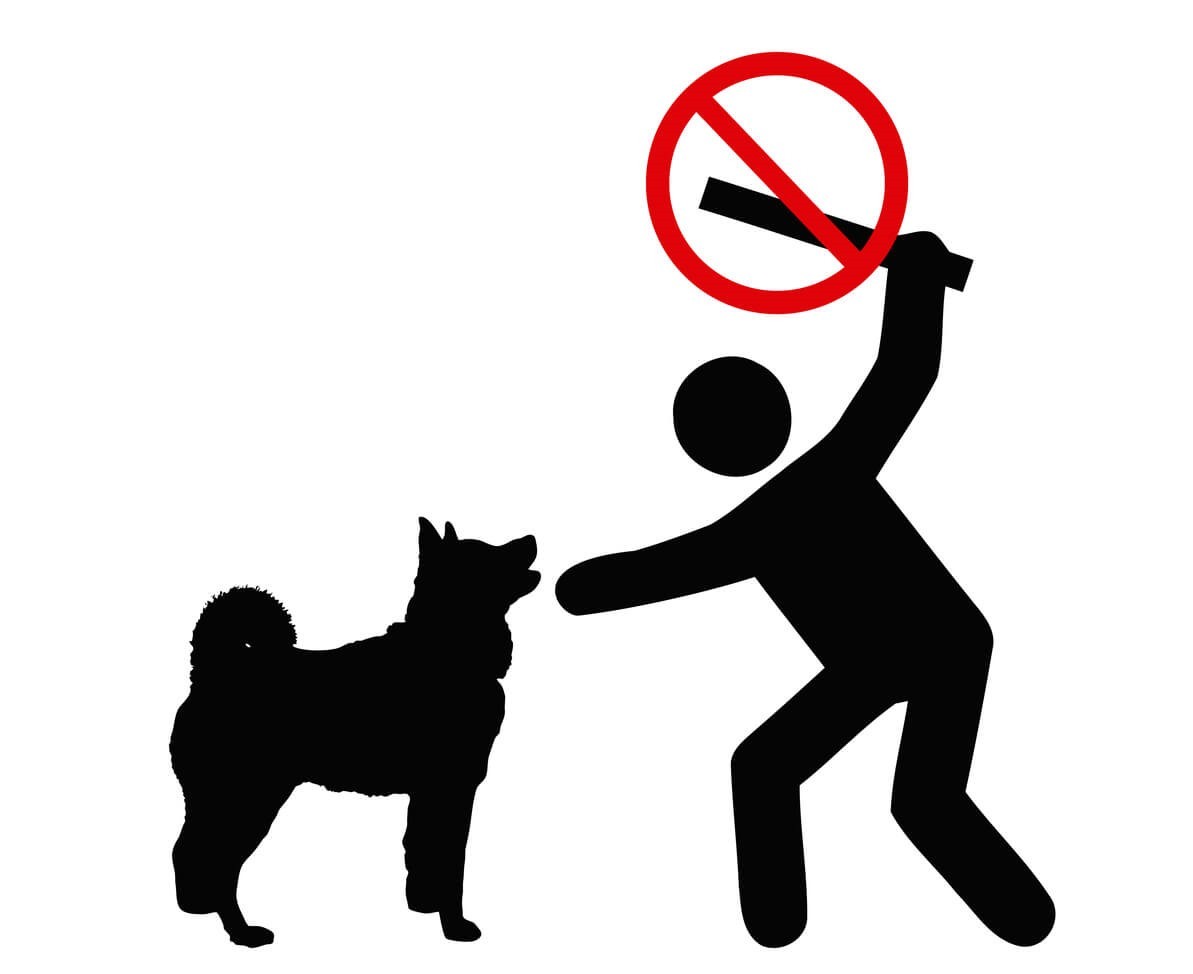 Жестокое обращение с животными не допустимо!.