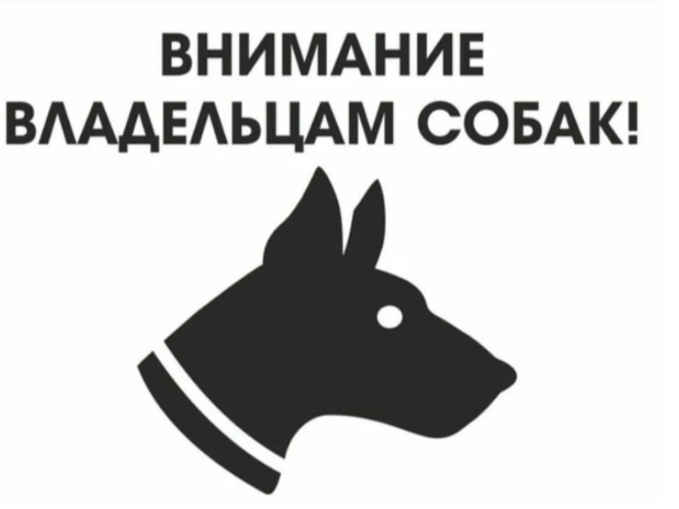 Жестокое обращение с животными не допустимо!.